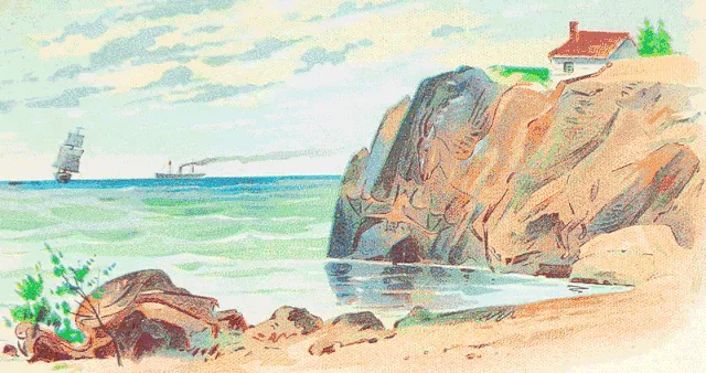 Overtly Analytical People Can See All 4 Hidden Animals In This Scene.