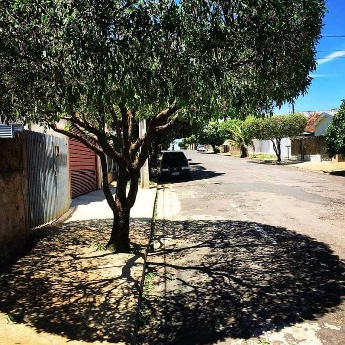 Shadows Creating Optical Illusions Which Are Great Sight To Watch