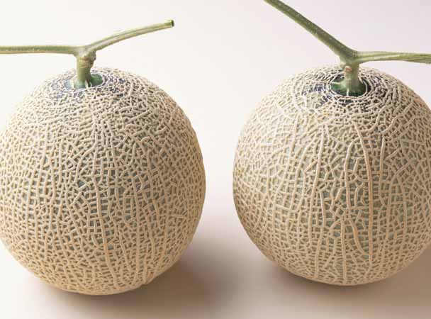 Top 10 Most Expensive Foods In The World