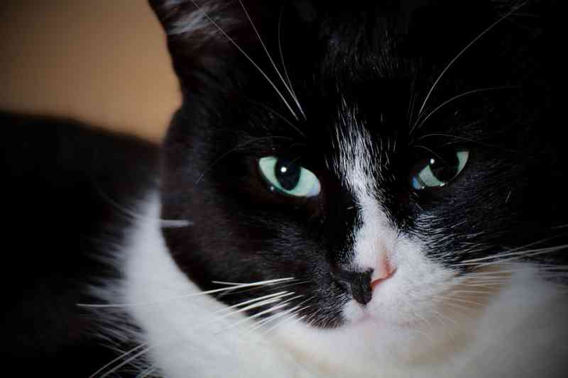 13 Astonishing Mysteries That Science Just Can’t Explain