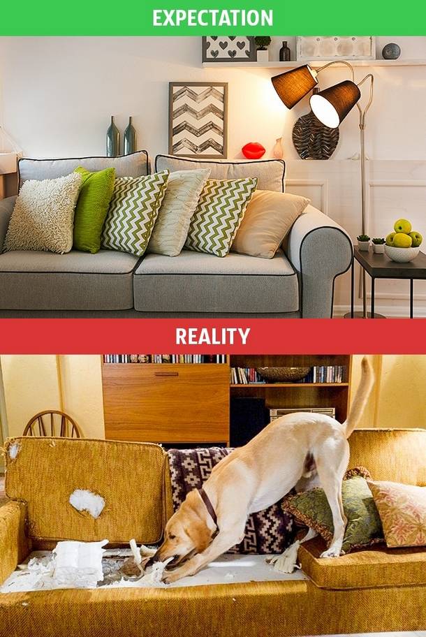 10 Pictures That Show You The Truth About Family Life