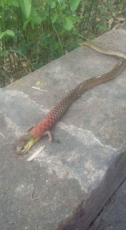 13 Things That Fall Right Between NOPE And WAT.