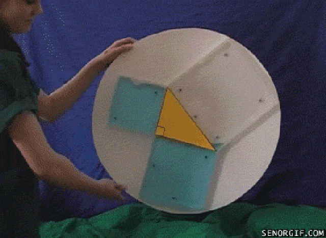 14 Amazing Things You Never Learned At School