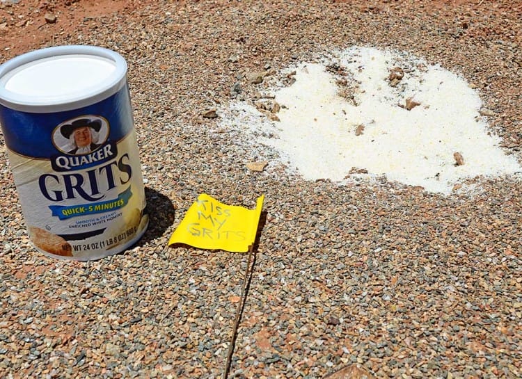 18 Must Know Camping Hacks That Will Make You An Expert Of The Outdoors