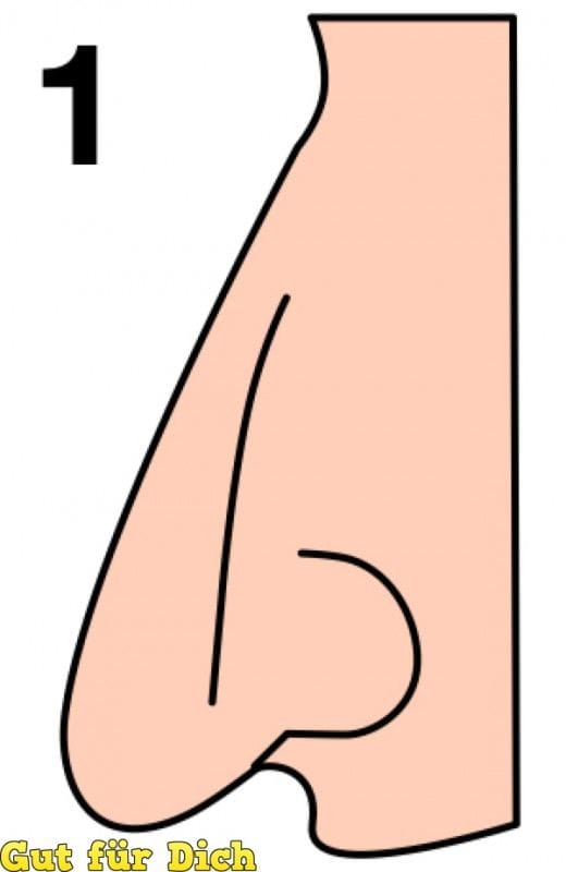 7 Types Of Nose That Define Your Character