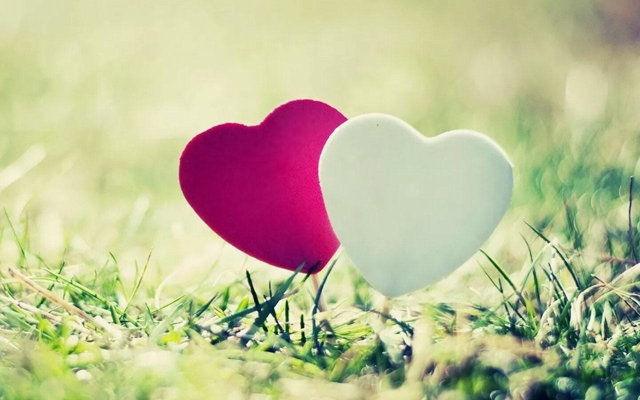 9 Incredibly Heart-warming Photographs That Prove Love Is All Around Us
