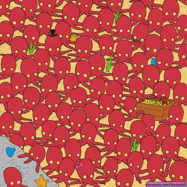 91% Of The Internet Fails To Find A Tiny Fish Hidden In The Crowd Of Octopus