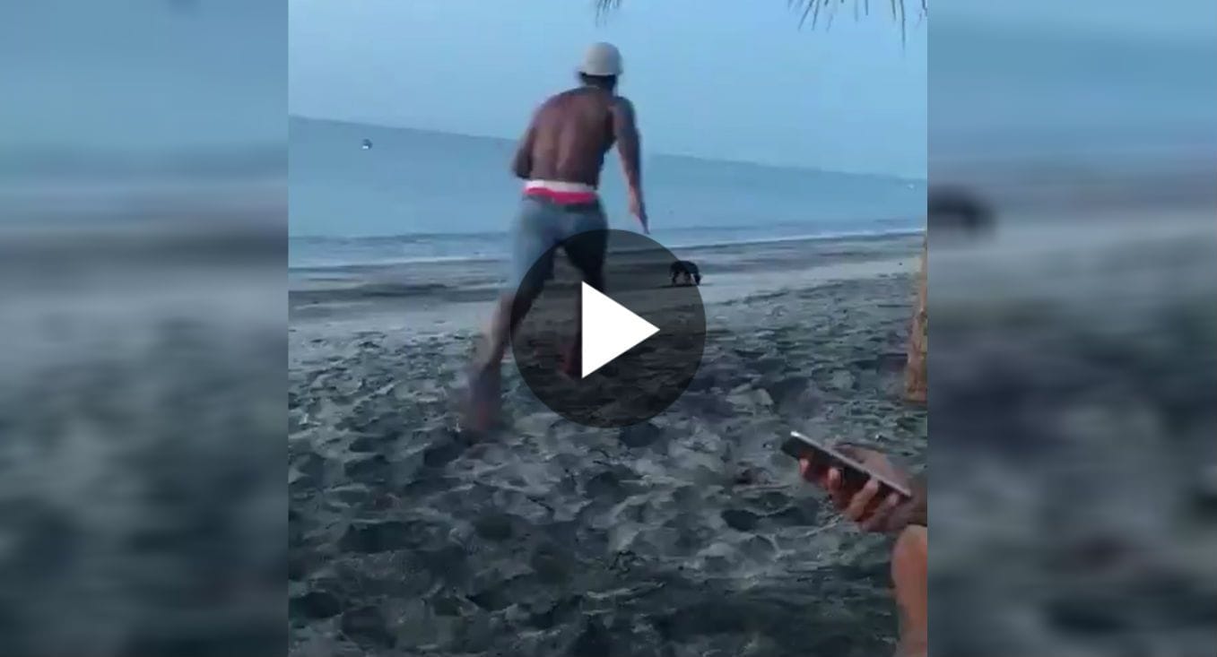 This Is How Karma Treats You If You Bug His Innocent Creatures Without Any Good Cause.