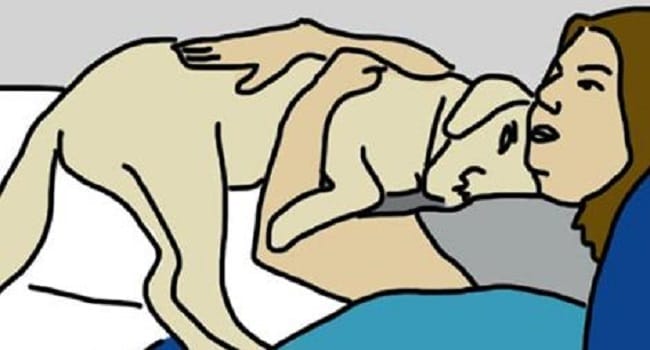 Does Your Dog Ever Do THIS With You? The Answer Reveals Something Amazing!