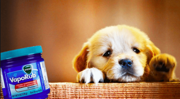 Fabulous Uses For Vicks Vaporub That Will Solve Your Biggest Problems