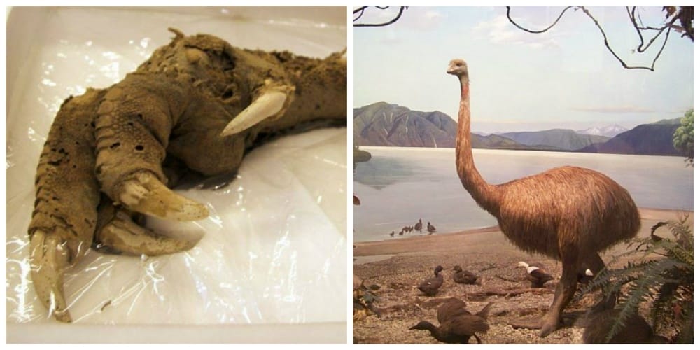 Ten Discoveries That No One Can Explain