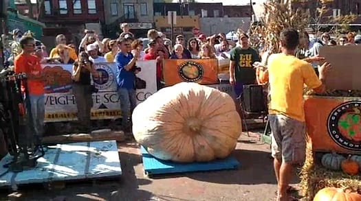 Top 10 Unusual Guinness World Records