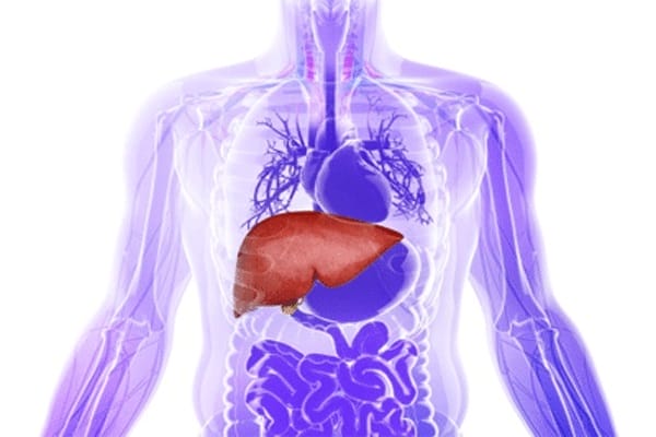 Ways To Save Your Liver