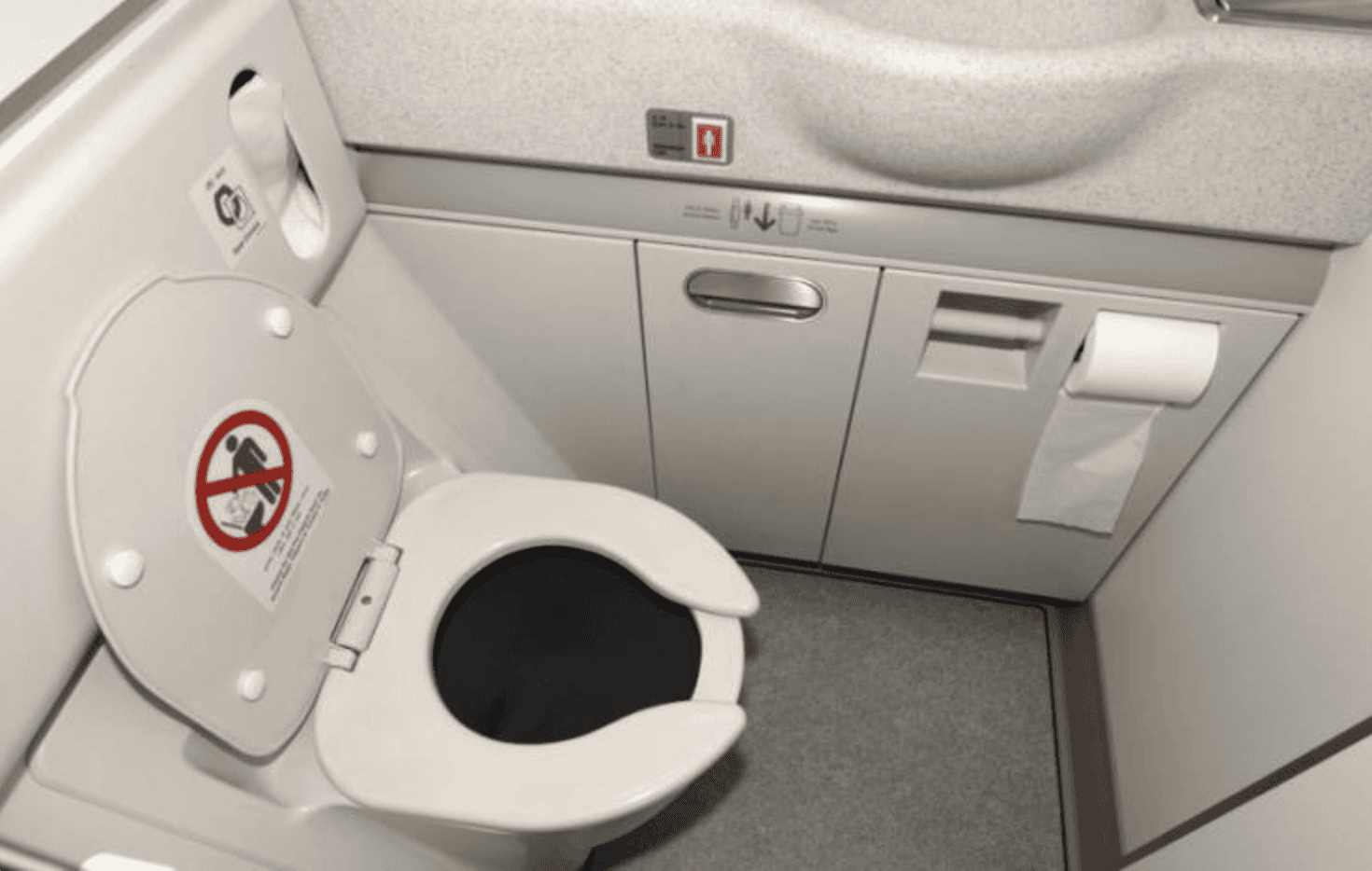 What Really Happens After You Poop In An Airplane Toilet?