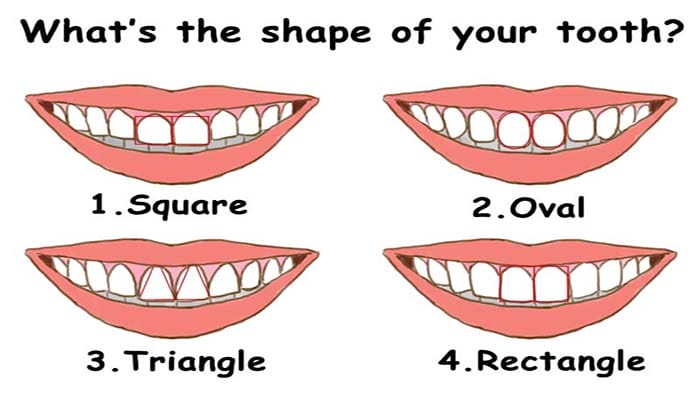 What Your Teeth Shape Say About Your Personality Read