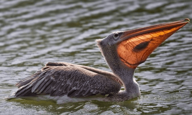 11 Pictures Which Couldn’t Be More Perfectly Timed