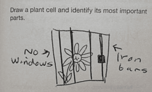 12 Creative Ways To Answer Exam Questions You Have No Idea About