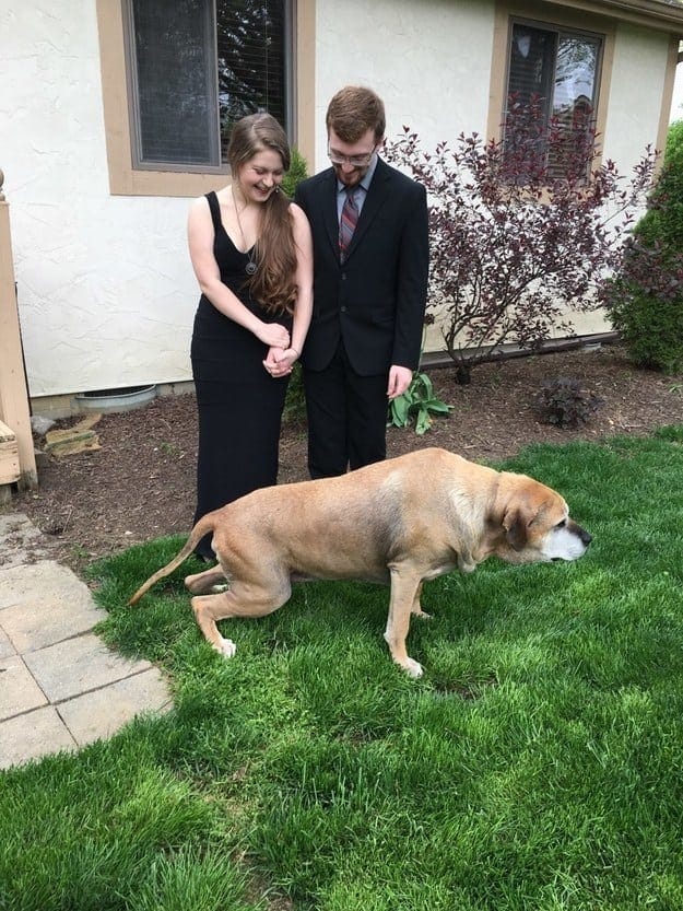 12 Funny But Disastrous Prom Fails
