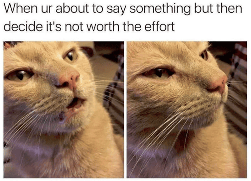 13 Pics That Show You The Truth And Nothing But The Truth