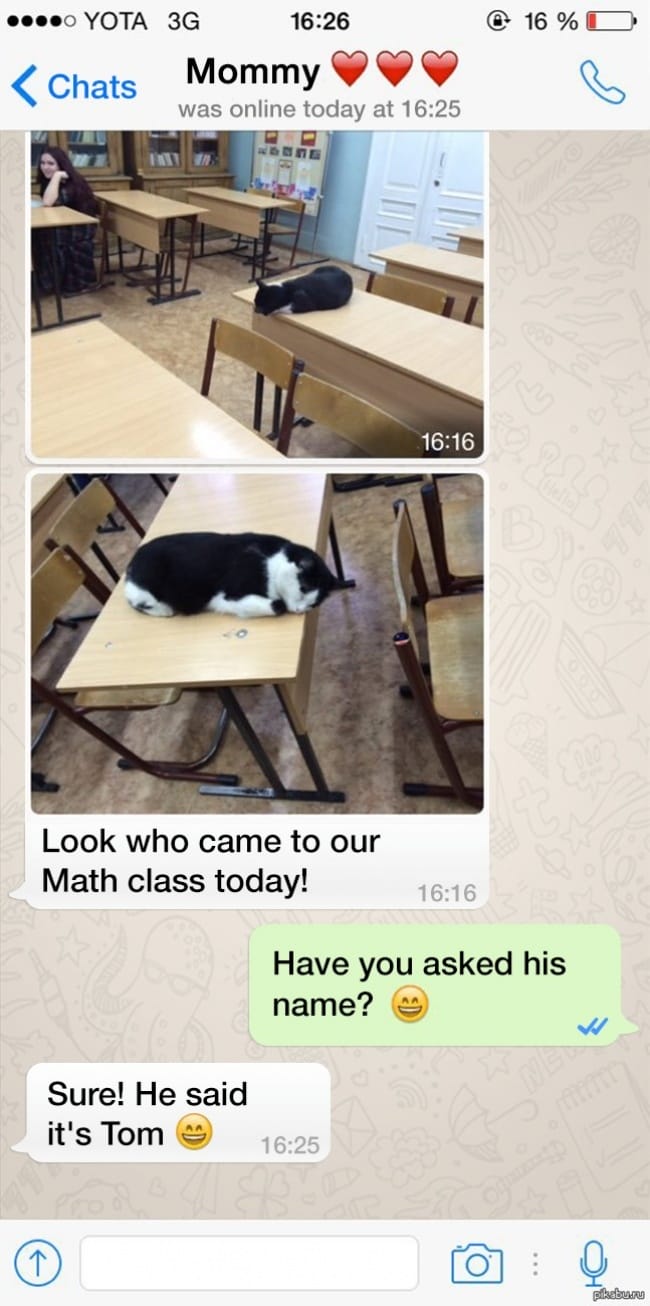 14 Most Interesting Teachers on Earth to Make Their Class Even More Interesting