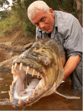 15 Of The Most Nope Worthy Photos Out There