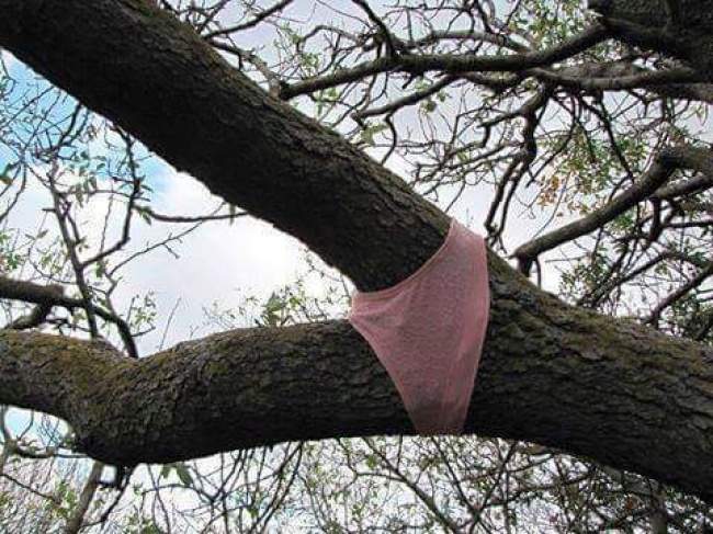 15 Strange Sights That Will Make Anyone raise An Eyebrow.