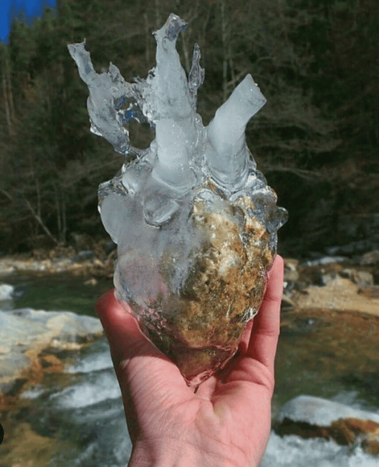 16 Pics To Deeply Disturb Or Oddly Satisfy
