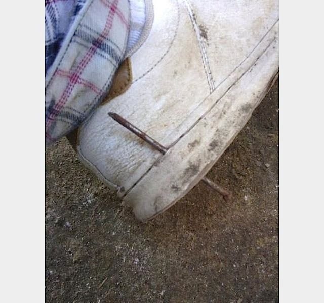 17 Photos That Will Redefine Being Lucky!
