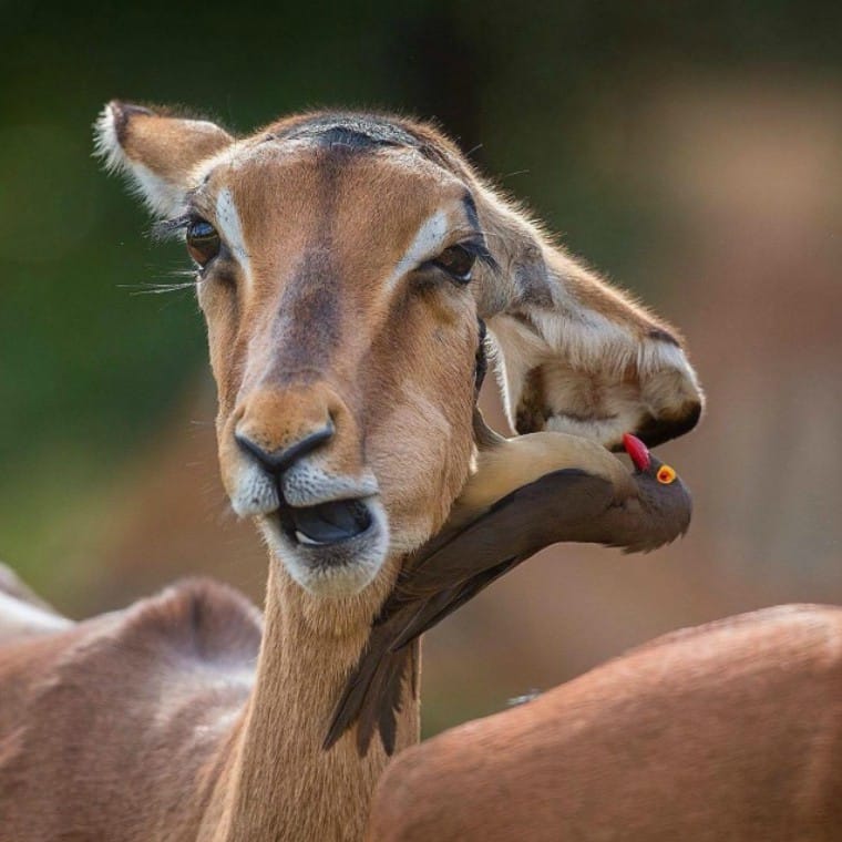 15 Photos That Prove You Have An Excessively Vivid Imagination