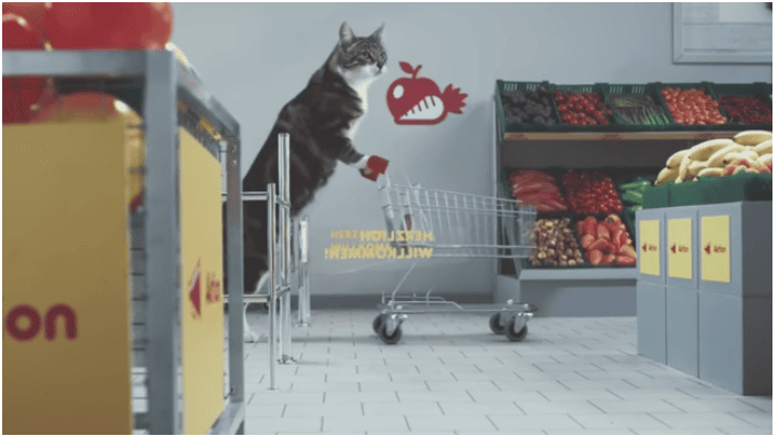 Grocery Store Just Made The Most Hilarious Cat Ad Ever! Just Watch It Till The End!