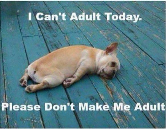 Hilarious Things That Moms Have Done When They Were Sleep Deprived