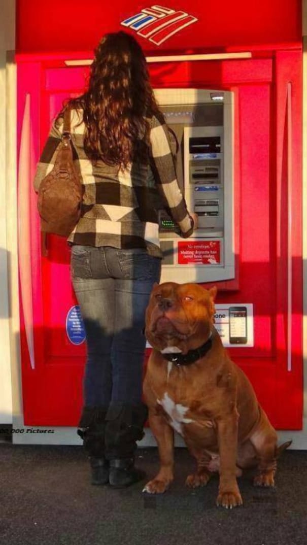 The Best Atm Withdrawal Defense 13 Pics