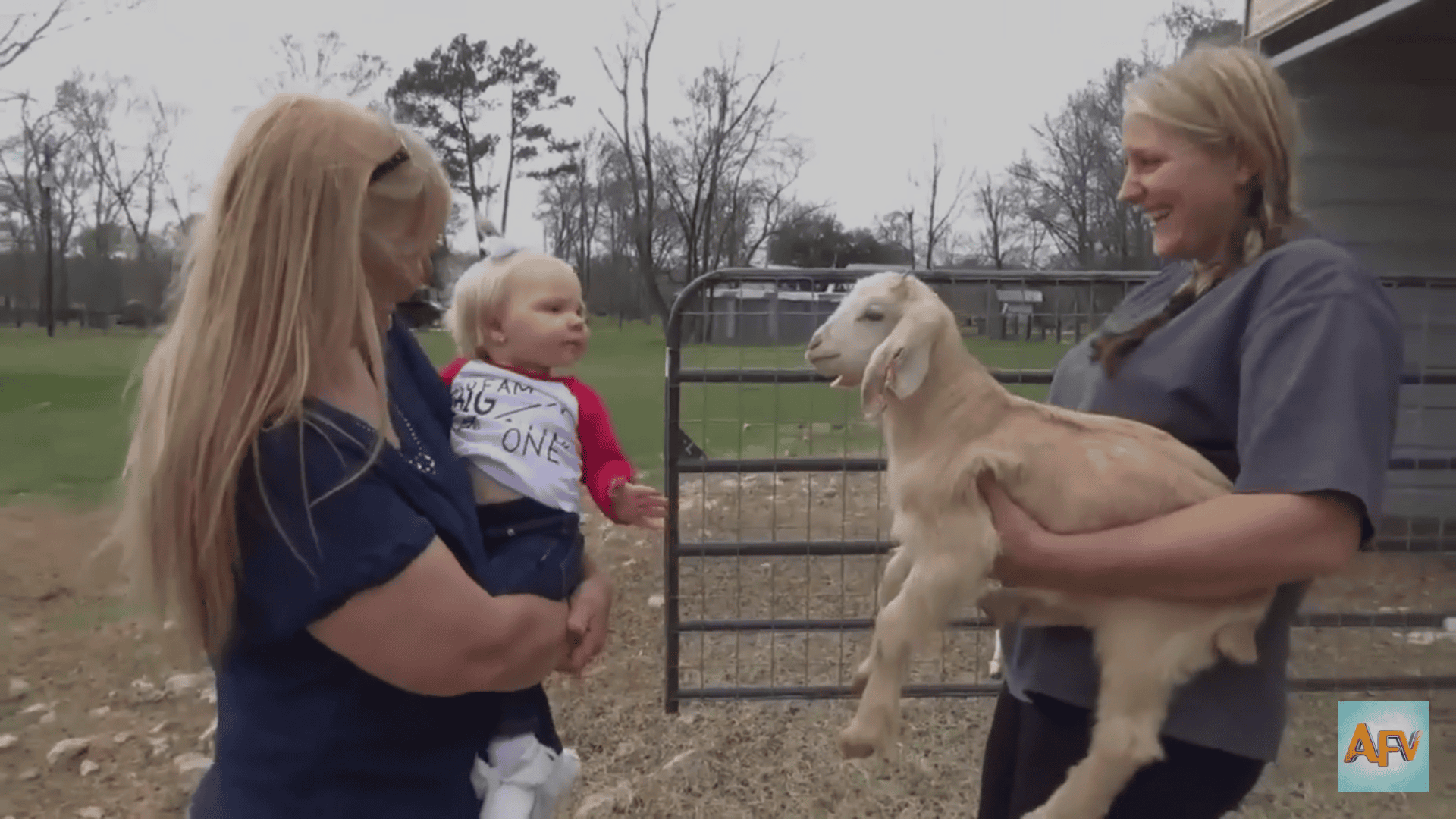 This 'Conversation' Between Goat And The Baby Girl Is All You Need To See Right Away!