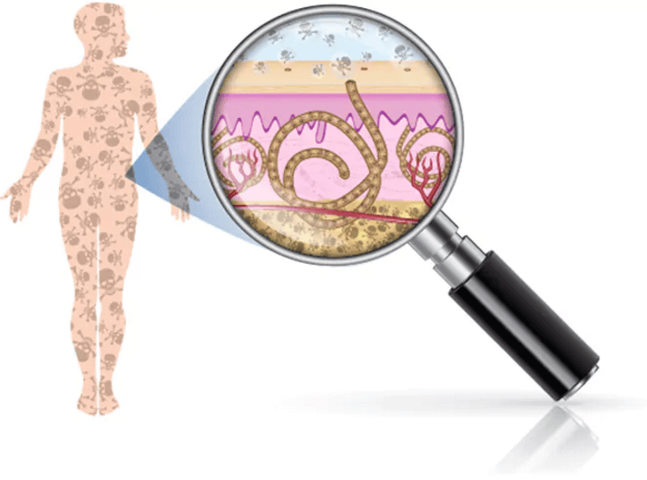 Did You Know The Effectiveness Of Detoxing Your Body Through Your Feet ?