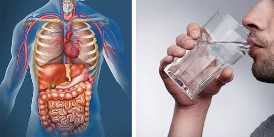 Did You Know What Wonders Water Can Do If You Drink It For 30 Days ?