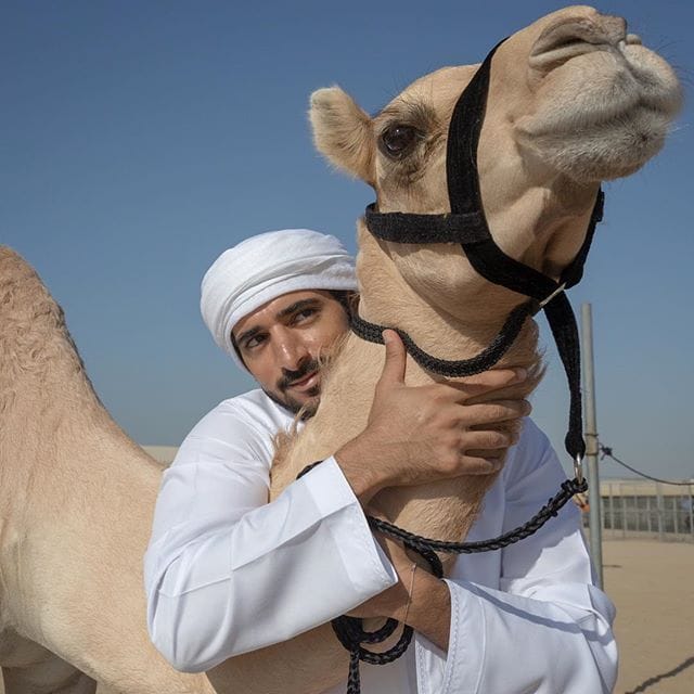 8 Most Rare And Expensive Things Owned By The Prince Of Dubai