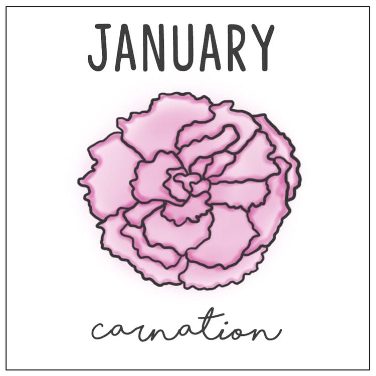 Do You Know Which Is Your Birth Flower? Check Out What It Says About Your Personality.