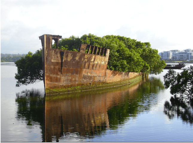 10 Photos Which Proves Nature Is Ahead Of Us
