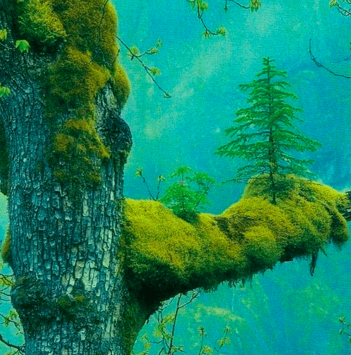 10 Photos Which Totally Proves That Nature Is Controlling Us