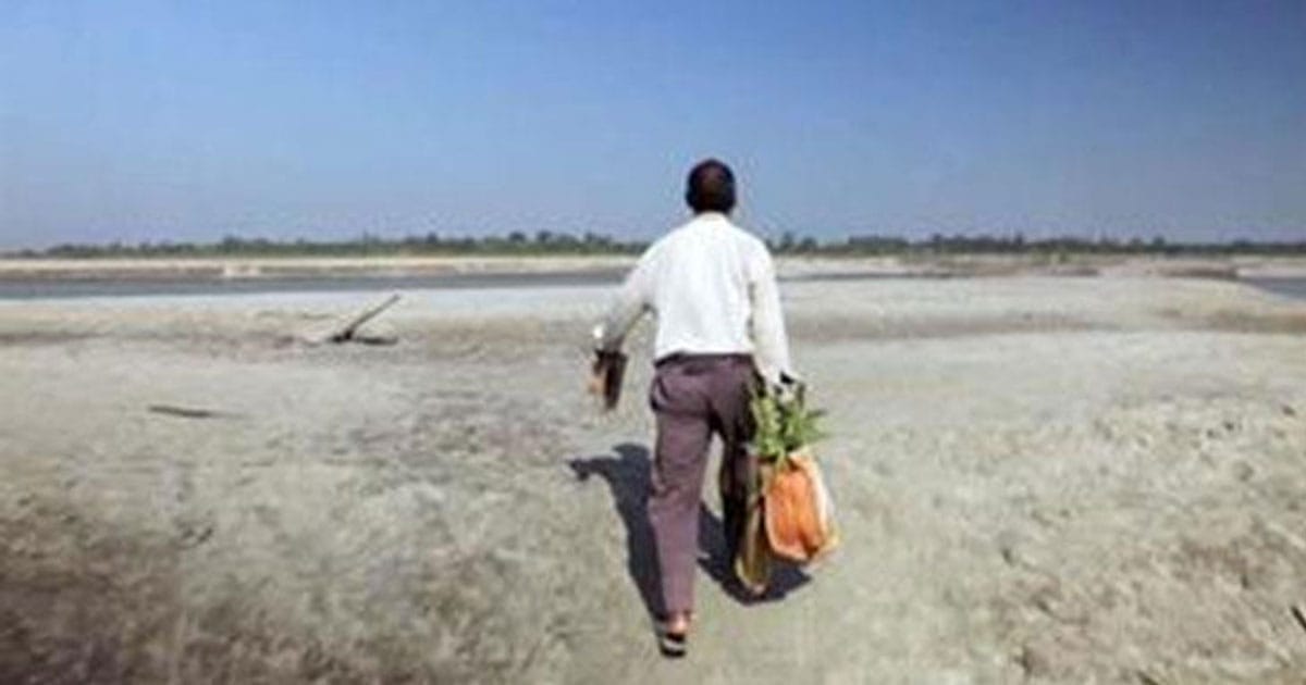 Every Day, Man Plants Trees In Same Spot. After 37 Years, His Masterpiece Takes Our Breath Away