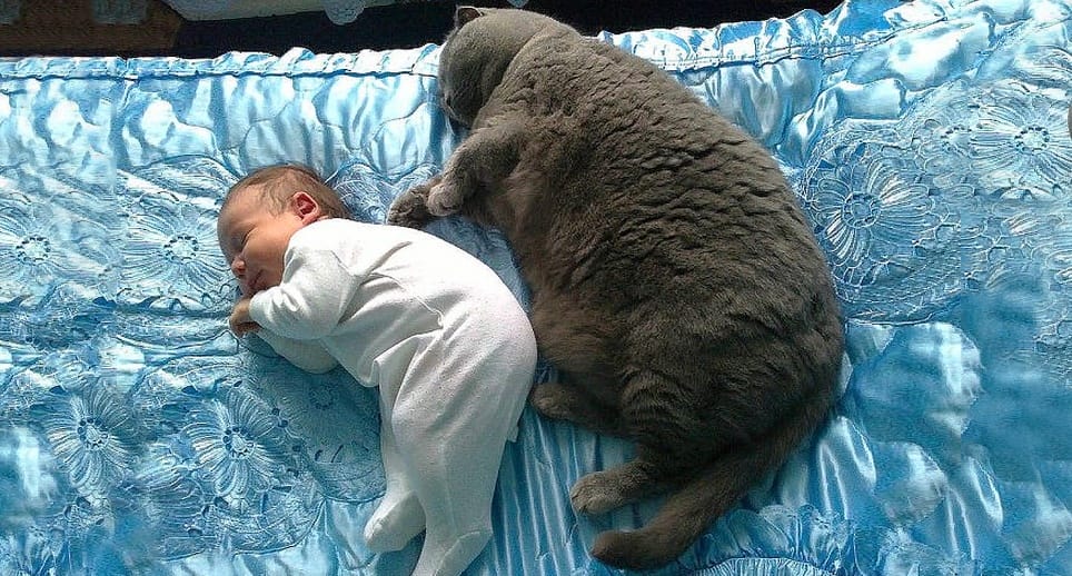 16 Photos Showing That Kids Need Pets And Vice Versa