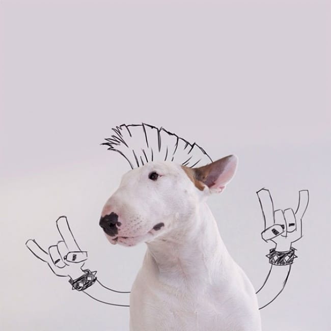 Guys Ex Wife Left Him With A Dog And This Is What He Does