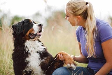 Mom Asks Her Dog To Bark Softly. How He Responds Made Everyone Burst Out Laughing.