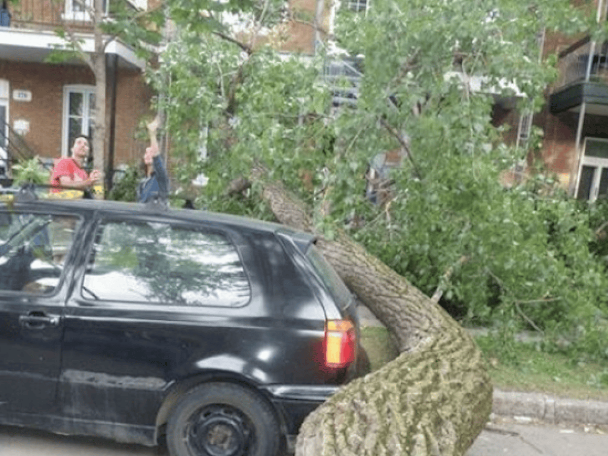 No One Has Gotten Luckier Than These 13 People