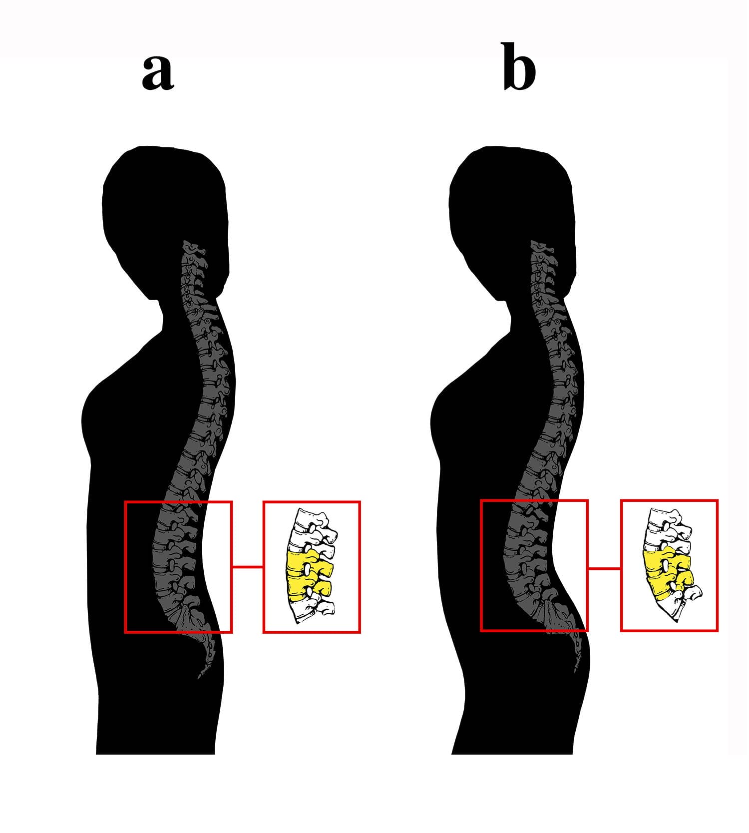 Study Proves That Men Really Do Prefer Curves - But Not The Ones You Think!