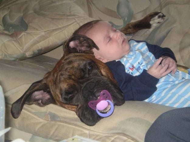The House Got Quiet The Places These Moms Found Their Babies Sleeping Are Hysterical!