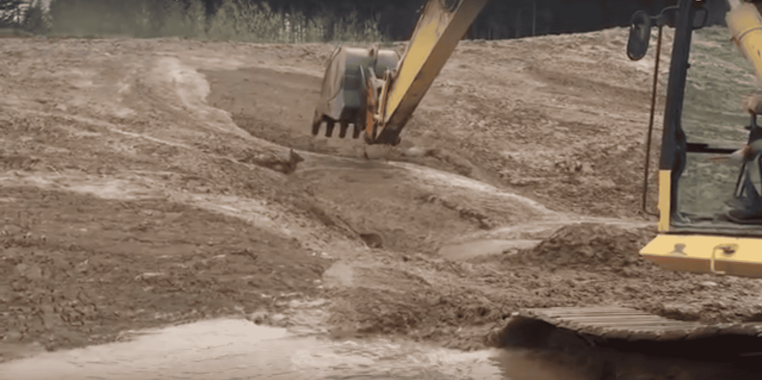They Saw Movement In The Mud And Made A Stunning Realization