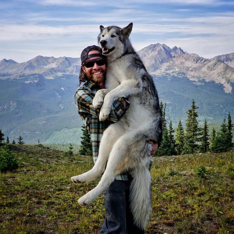 This Guy Travels The World With His Dog Because He Can't Stand To See Him Locked Away