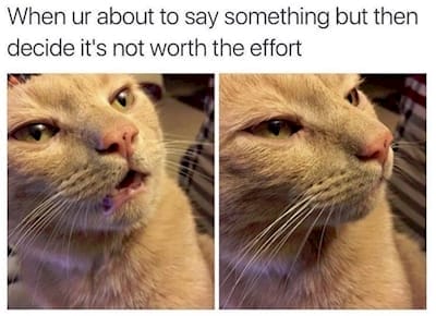 13 Pics That Speak The Honest Truth.