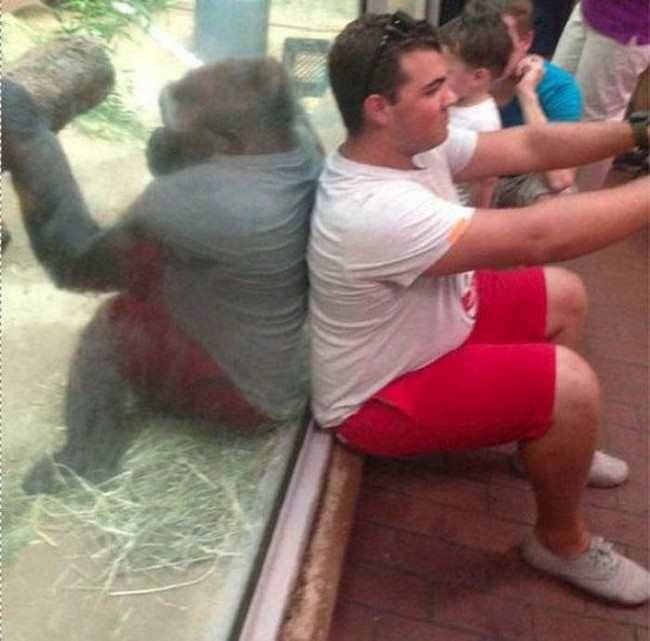 14 Photos That Might Force You To Re-imagine!